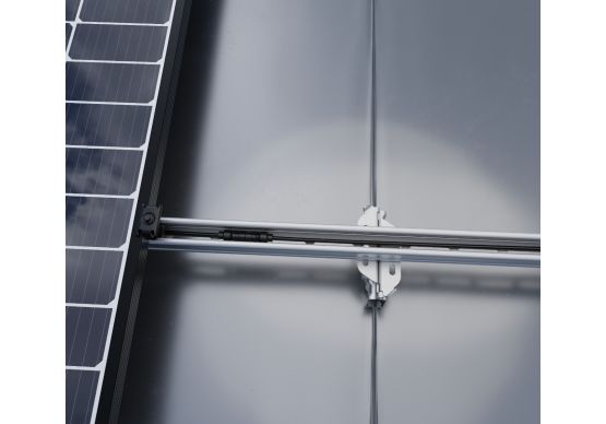 MAFI | Falsfäste Mafi